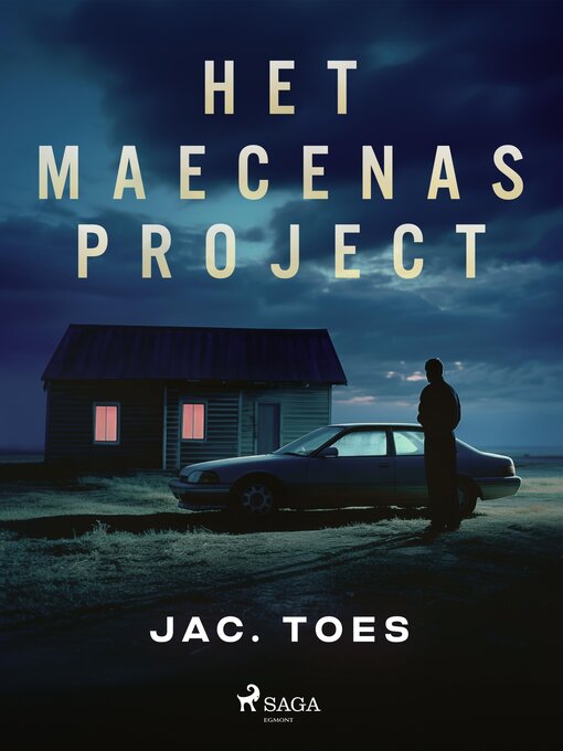 Title details for Het Maecenas-project by Jac. Toes - Available